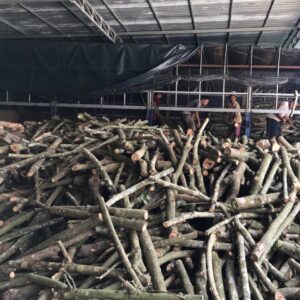 Củi cao su dùng cho lò hơi nhà máy sản xuất