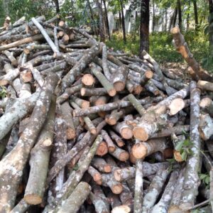 Củi cao su giao hàng toàn quốc giá cạnh tranh
