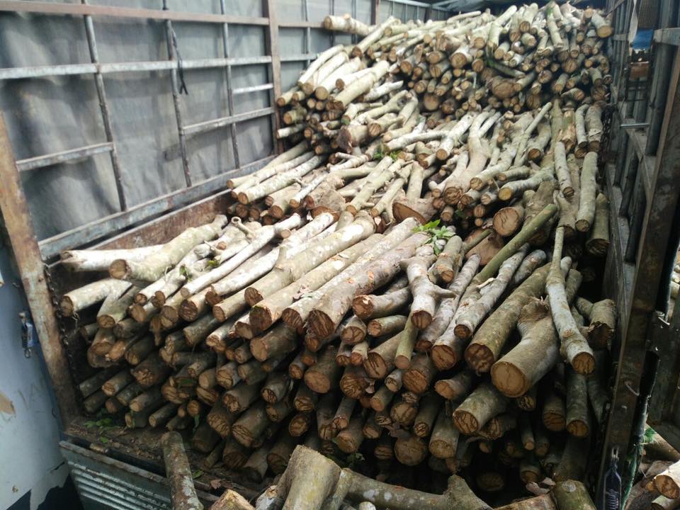 Củi cao su khô nhiệt lượng cao cho lò hơi công nghiệp