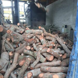 Củi điều chất lượng cao dùng cho lò hơi công nghiệp