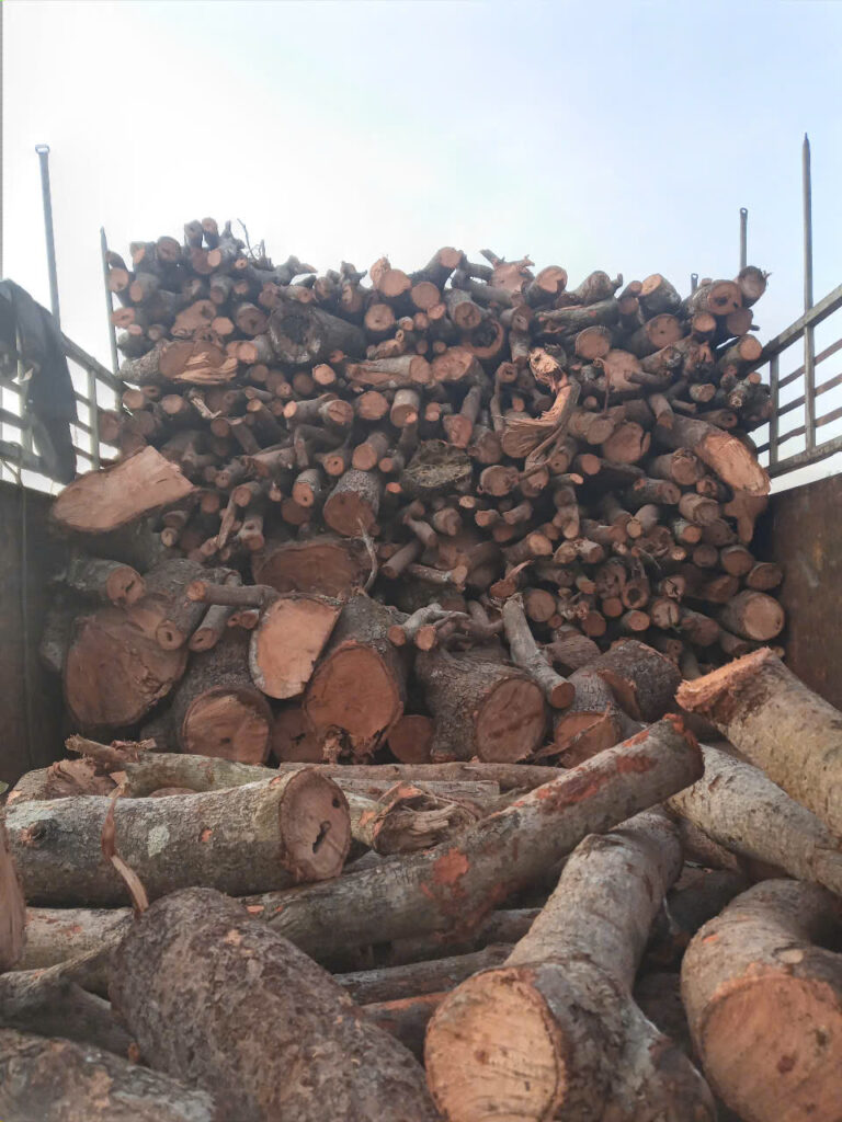 Kho củi điều số lượng lớn giao hàng toàn quốc