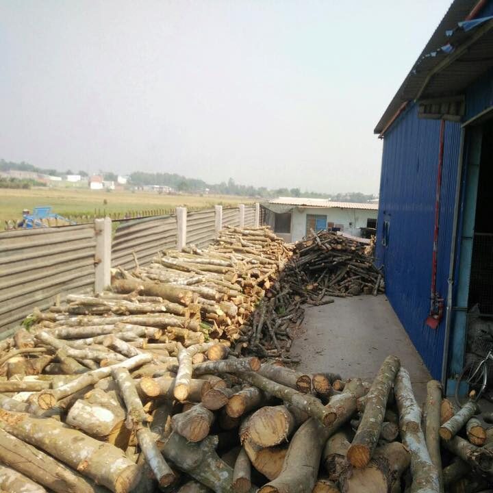Kho củi cao su số lượng lớn tại Thiên Nhân Phát