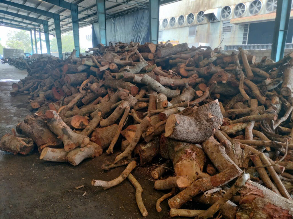 Kho củi điều số lượng lớn giao hàng toàn quốc